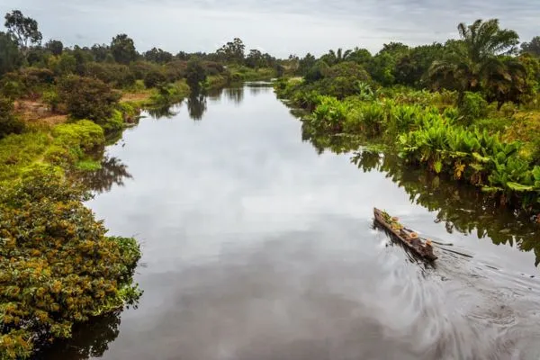 Des hautes terres centrales au Canal des Pangalanes