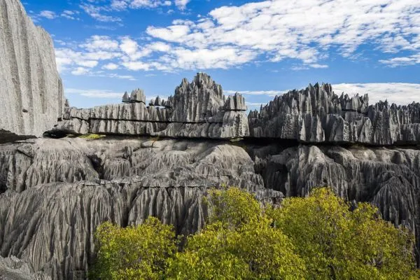 Tsingy et Baobab